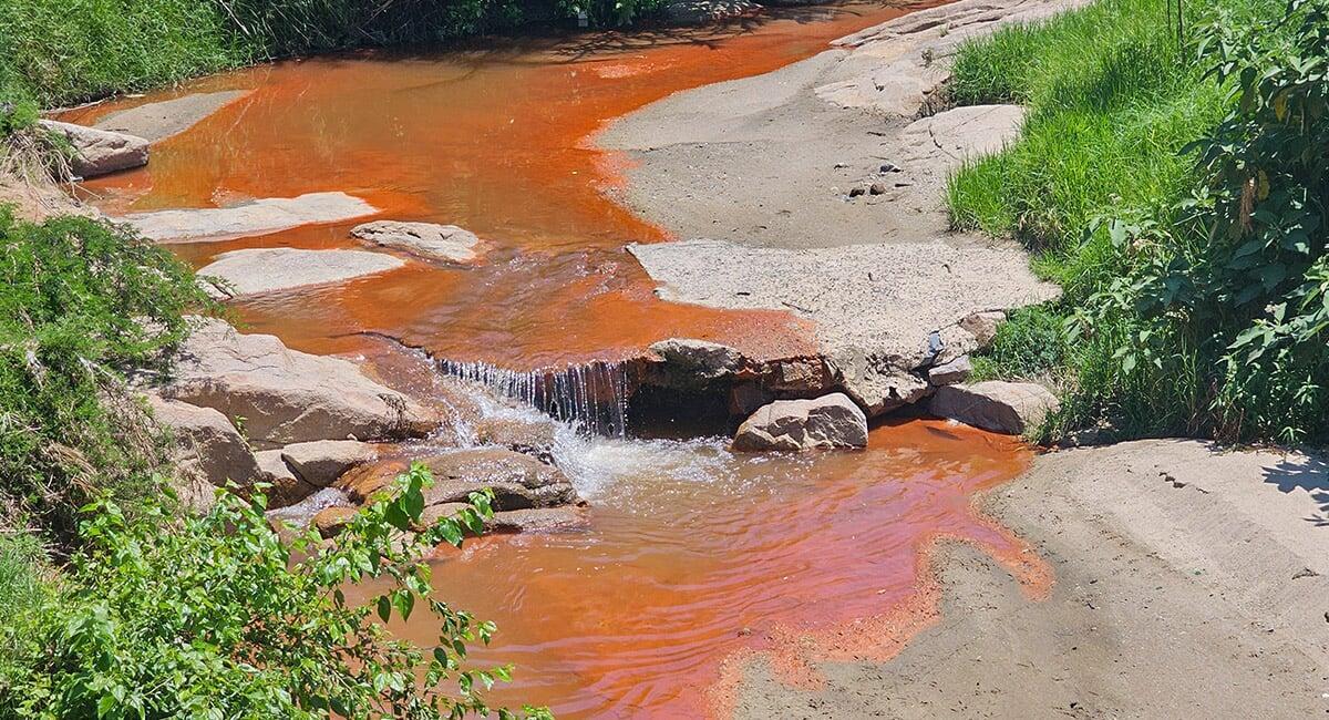 Climate change and South Africa’s water woes — an urgent call to community action