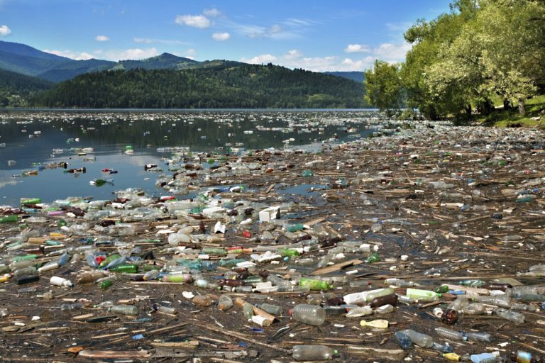 Sewage pollution: a violation of basic human rights